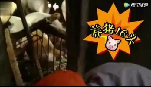 娱乐吃瓜酱变老特效